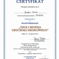 Powiększ obraz: certificate 1