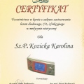 Powiększ obraz: certificate 6