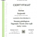 Powiększ obraz: certificate 19