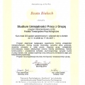 Powiększ obraz: certificate 6