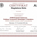 Powiększ obraz: certificate 6