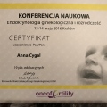 Powiększ obraz: certificate 3