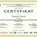 Powiększ obraz: certificate 9