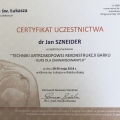 Powiększ obraz: certificate 8