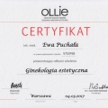 Powiększ obraz: certificate 15
