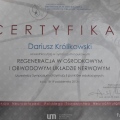 Powiększ obraz: certificate 2