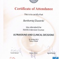 Powiększ obraz: certificate 5