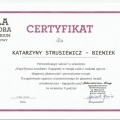 Powiększ obraz: certificate 26