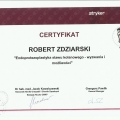 Powiększ obraz: certificate 28