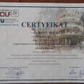 Powiększ obraz: certificate 4