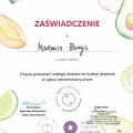 Powiększ obraz: certificate 20