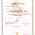 Powiększ obraz: certificate 16
