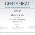 Powiększ obraz: certificate 6
