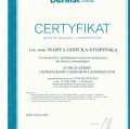 Powiększ obraz: certificate 41