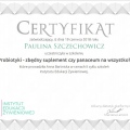 Powiększ obraz: certificate 48