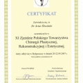 Powiększ obraz: certificate 21