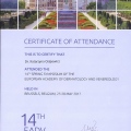 Powiększ obraz: certificate 2