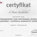 Powiększ obraz: certificate 29
