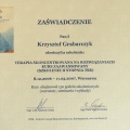 Powiększ obraz: certificate 9