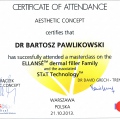 Powiększ obraz: certificate 45