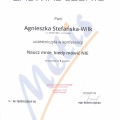 Powiększ obraz: certificate 9