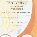 Powiększ obraz: certificate 5