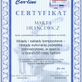 Powiększ obraz: certificate 1