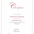 Powiększ obraz: certificate 3