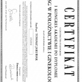Powiększ obraz: certificate 17