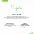 Powiększ obraz: certificate 2