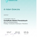 Powiększ obraz: certificate 4