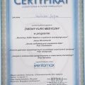 Powiększ obraz: certificate 32