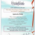 Powiększ obraz: certificate 1