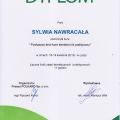 Powiększ obraz: certificate 43