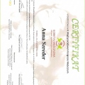 Powiększ obraz: certificate 9