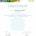Powiększ obraz: certificate 5