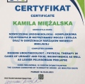 Powiększ obraz: certificate 1
