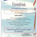 Powiększ obraz: certificate 15