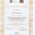 Powiększ obraz: certificate 9