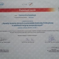 Powiększ obraz: certificate 10