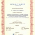 Powiększ obraz: certificate 13