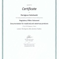 Powiększ obraz: certificate 10