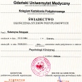 Powiększ obraz: certificate 2