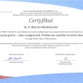 Powiększ obraz: certificate 50
