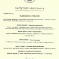 Powiększ obraz: certificate 5