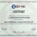 Powiększ obraz: certificate 28