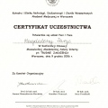 Powiększ obraz: certificate 6