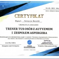 Powiększ obraz: certificate 2