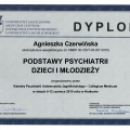 Powiększ obraz: certificate 6