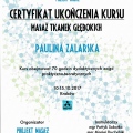 Powiększ obraz: certificate 14
